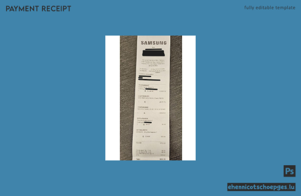 Samsung Electronics Zahlungscheck-Beispielvorschau